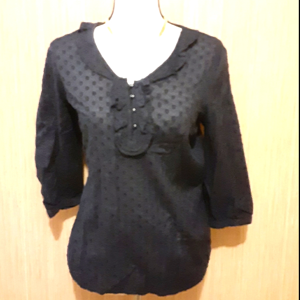 Talbots Sheer Blue Blouse Stitched Circles Sz S